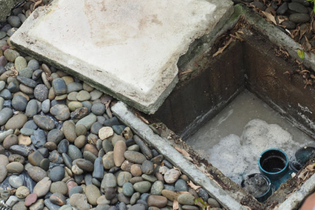 Blocked Drains