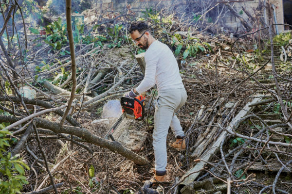 Emergency Tree Work