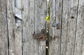 fencing repairs